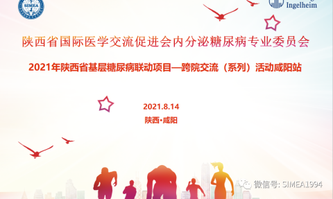 陕西省医促会内分泌糖尿病专委会2021年陕西省基层糖尿病联动项目交流系列活动（咸阳站）圆满举行